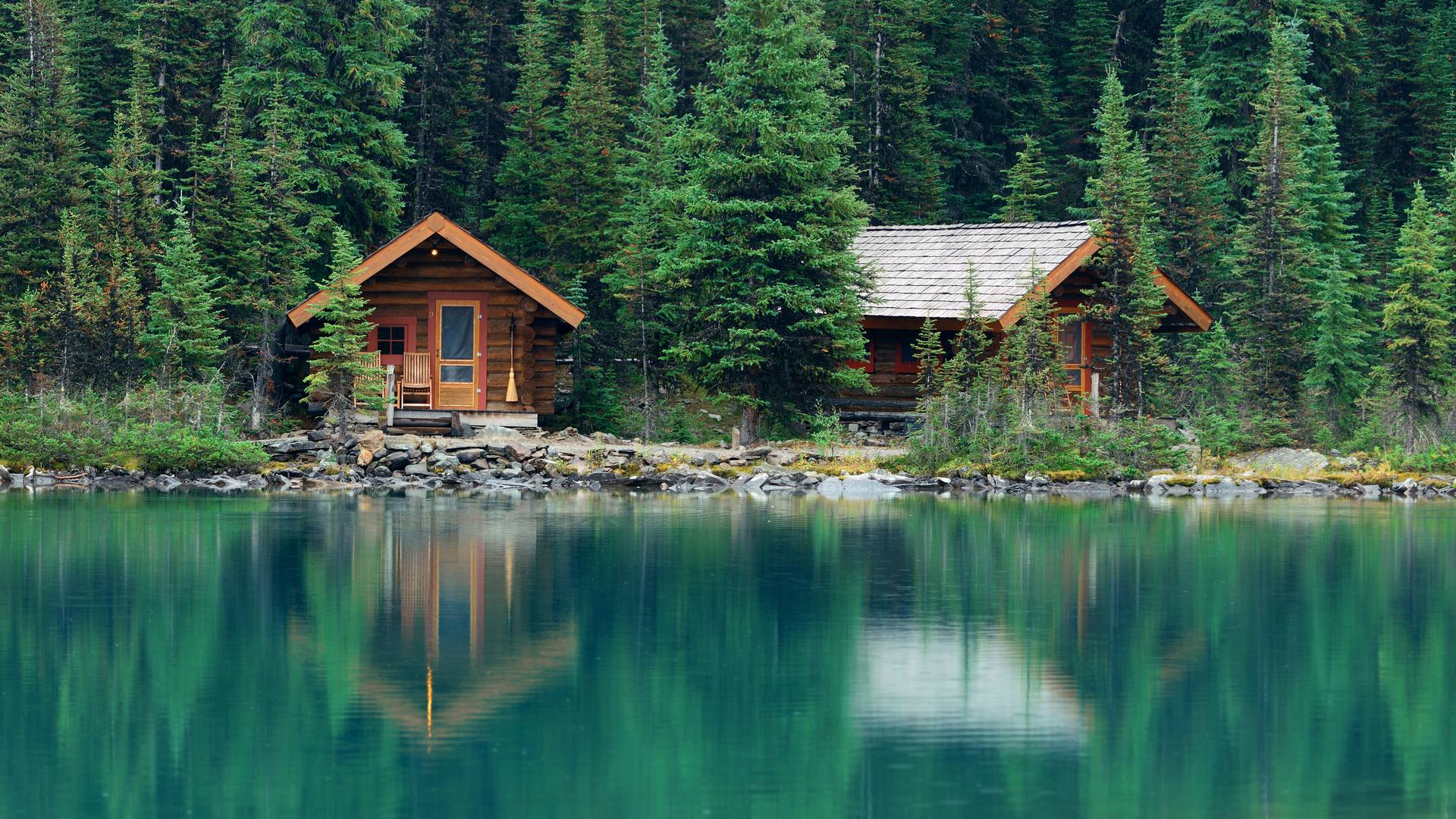 CAMP AMERICA od podszewki